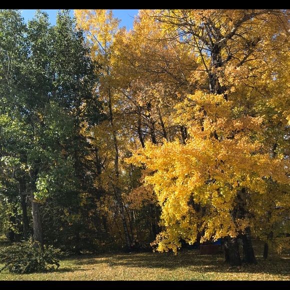 Meet your Posher, Connie - Picture 3 of 4